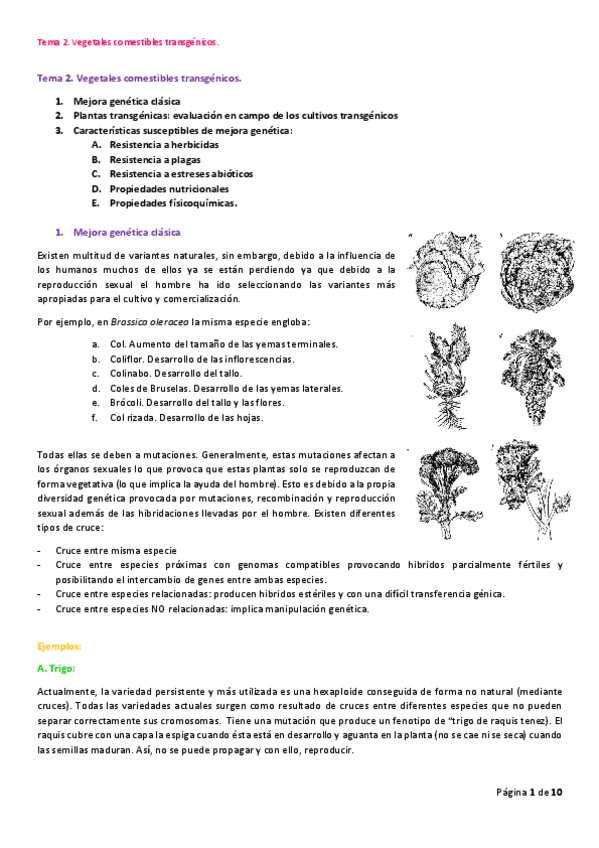 Miniatura del documento Tema-2.pdf