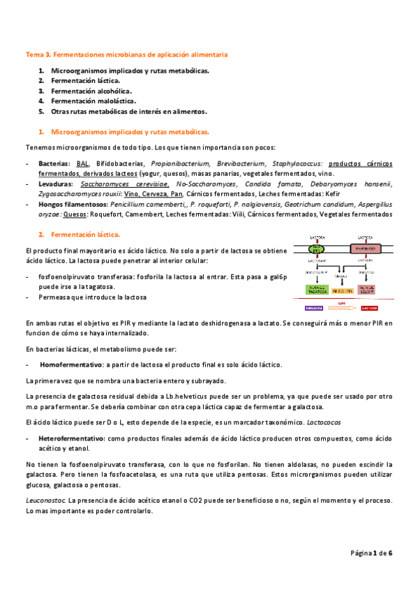 Miniatura del documento Tema-3.pdf