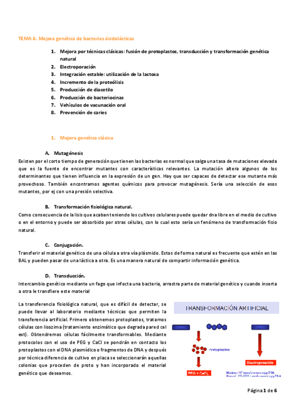 Miniatura del documento TEMA-6.pdf