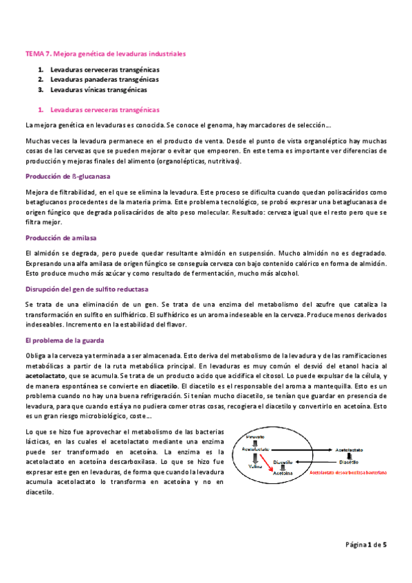 Miniatura del documento TEMA-7.pdf