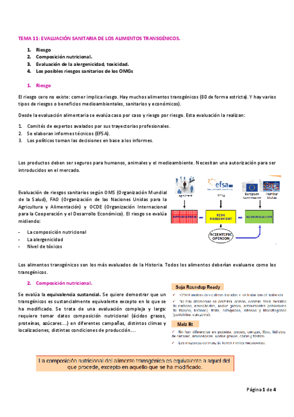 Miniatura del documento TEMA-11.pdf