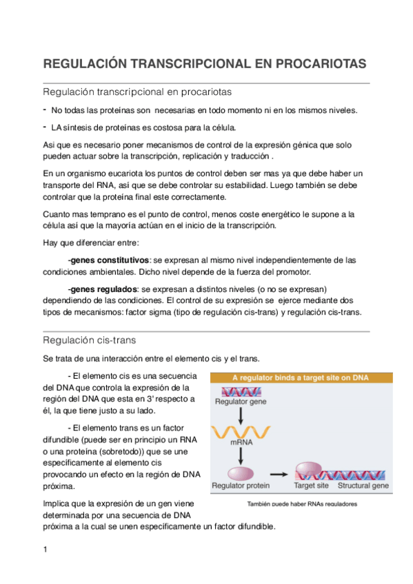 Miniatura del documento Tema-4.pdf