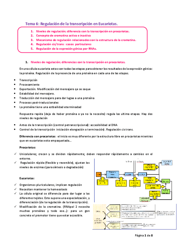 Miniatura del documento Tema-6.pdf