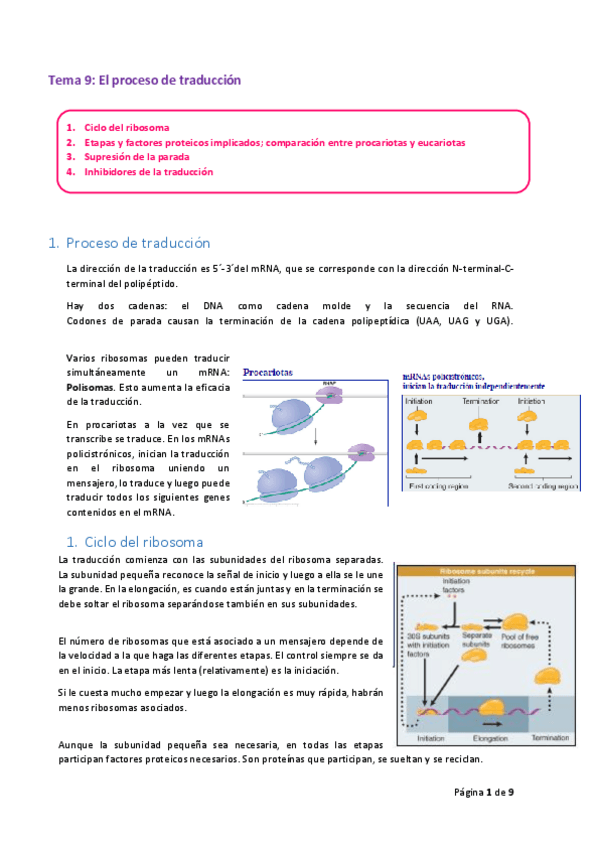 Miniatura del documento Tema-9.pdf