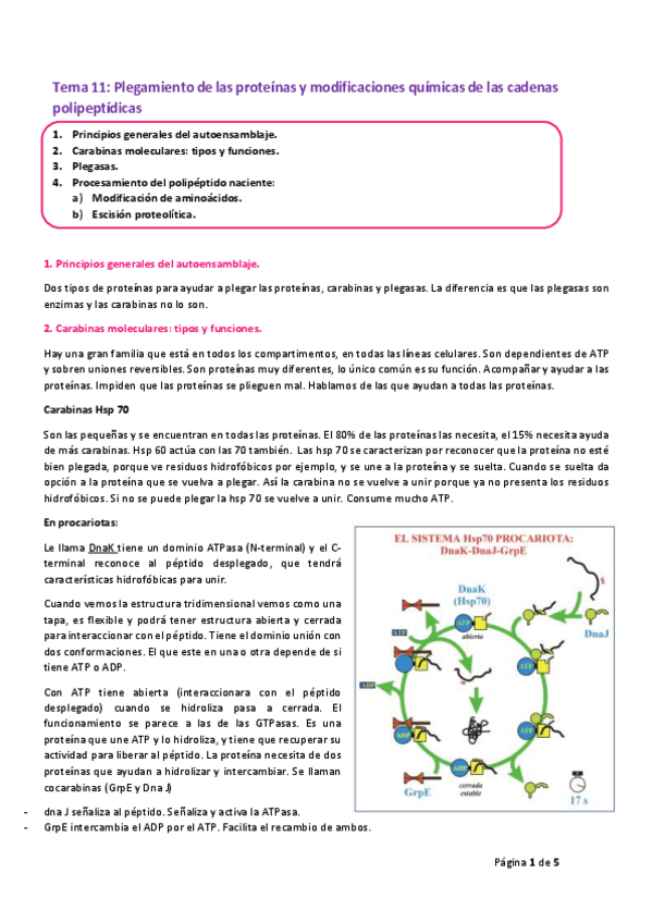Miniatura del documento Tema-11.pdf