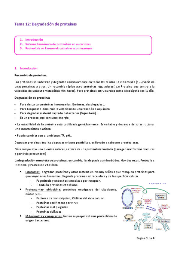 Miniatura del documento Tema-12.pdf