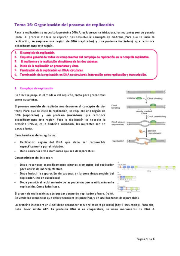 Miniatura del documento Tema-16.pdf