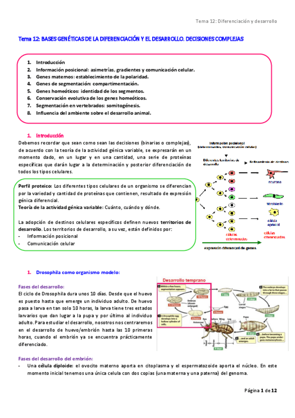 Miniatura del documento Tema-12.pdf