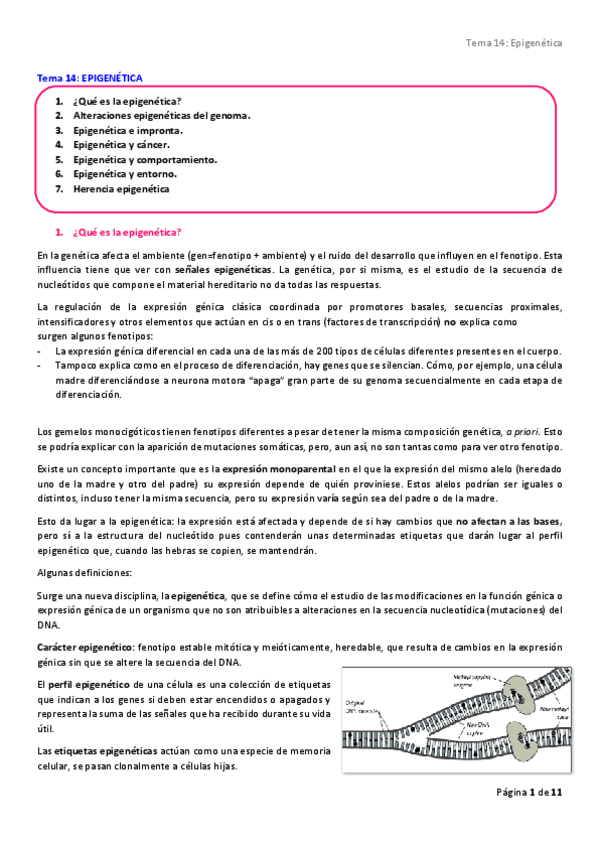 Miniatura del documento Tema-14.pdf