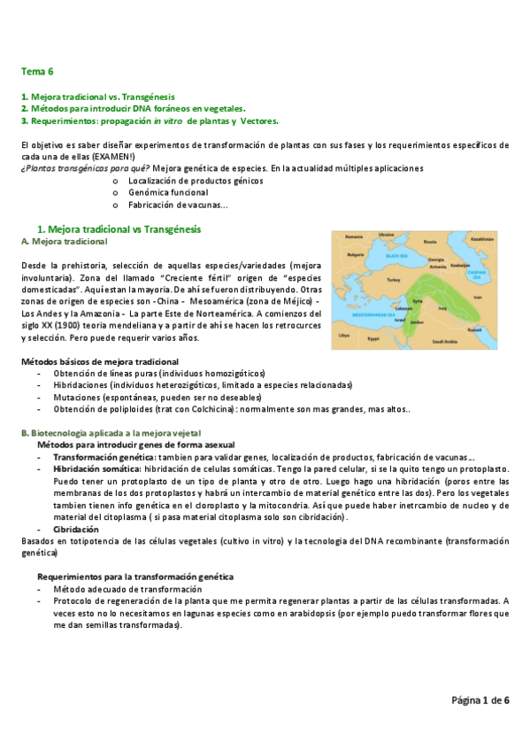 Miniatura del documento ap.Tema-6.pdf