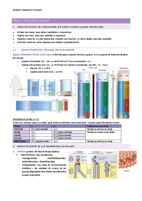 Miniatura del documento TEMA-2.pdf