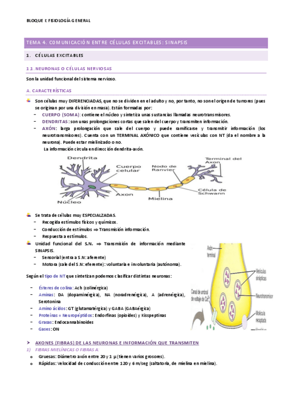Miniatura del documento TEMA-4.pdf