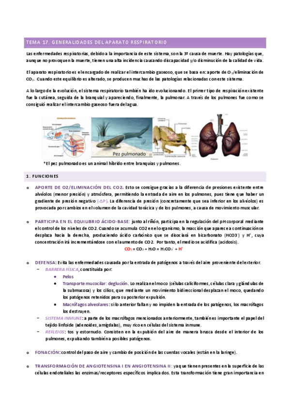 Miniatura del documento TEMA-17.pdf