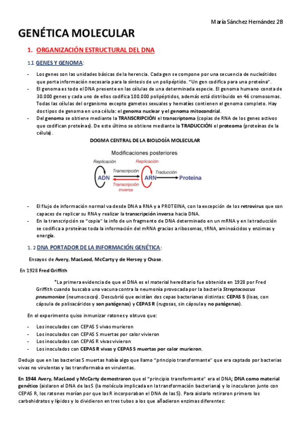 Miniatura del documento GENÉTICA MOLECULAR-1º PARCIAL.pdf
