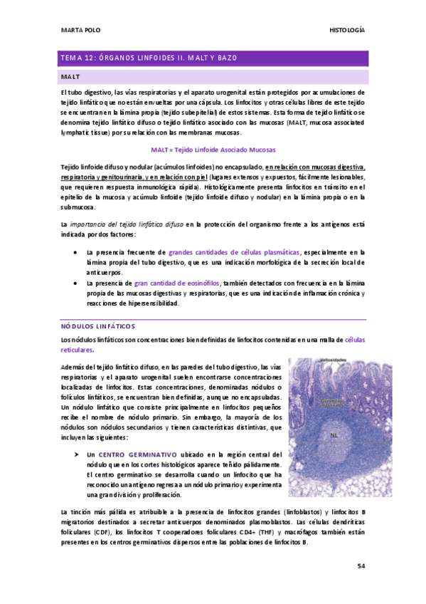 Miniatura del documento HISTOLOGIA-tema-12.pdf