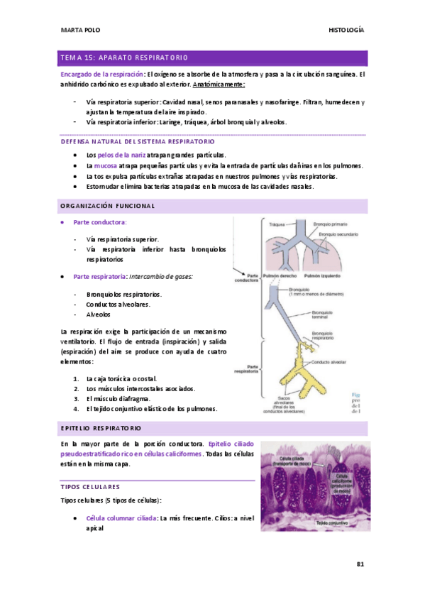 Miniatura del documento HISTOLOGIA-tema-15.pdf