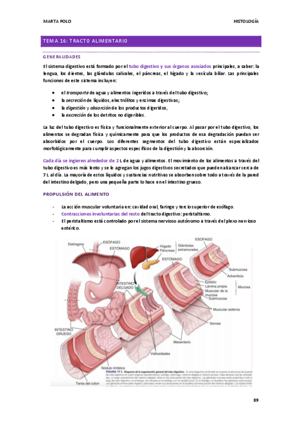 Miniatura del documento HISTOLOGIA-tema-16.pdf