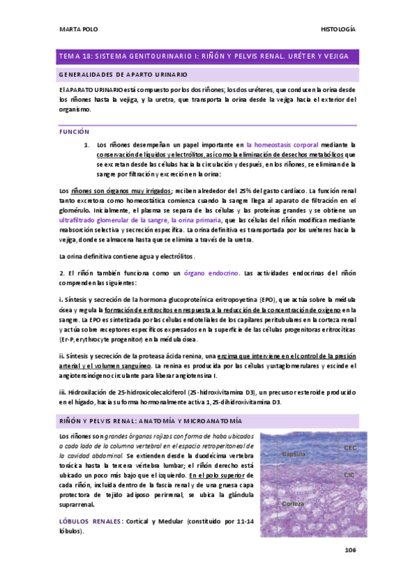 Miniatura del documento HISTOLOGIA-tema-18.pdf