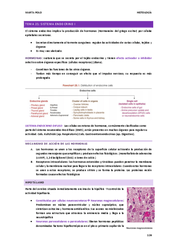 Miniatura del documento HISTOLOGIA-tema-21.pdf