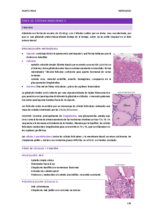Miniatura del documento HISTOLOGIA-tema-22.pdf