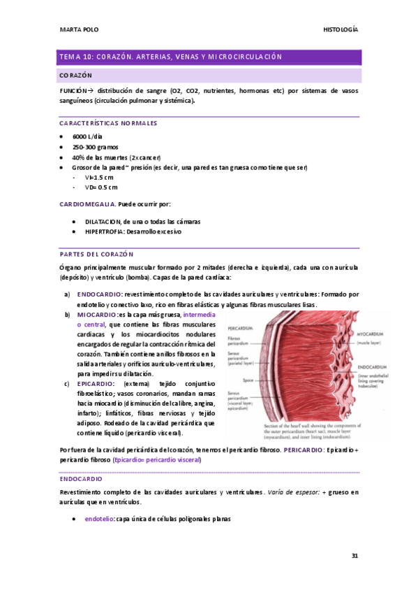 Miniatura del documento HISTOLOGIAtema-10.pdf
