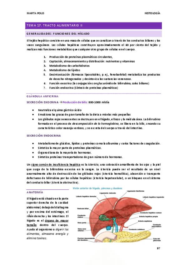 Miniatura del documento HISTOLOGIA-tema-17.pdf
