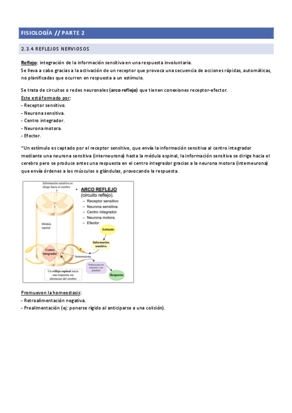 Miniatura del documento 2.3.4-Reflejos-nerviosos..pdf