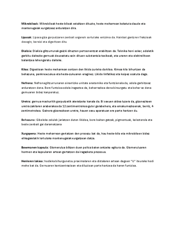 Miniatura del documento Definizio-gehiago.pdf