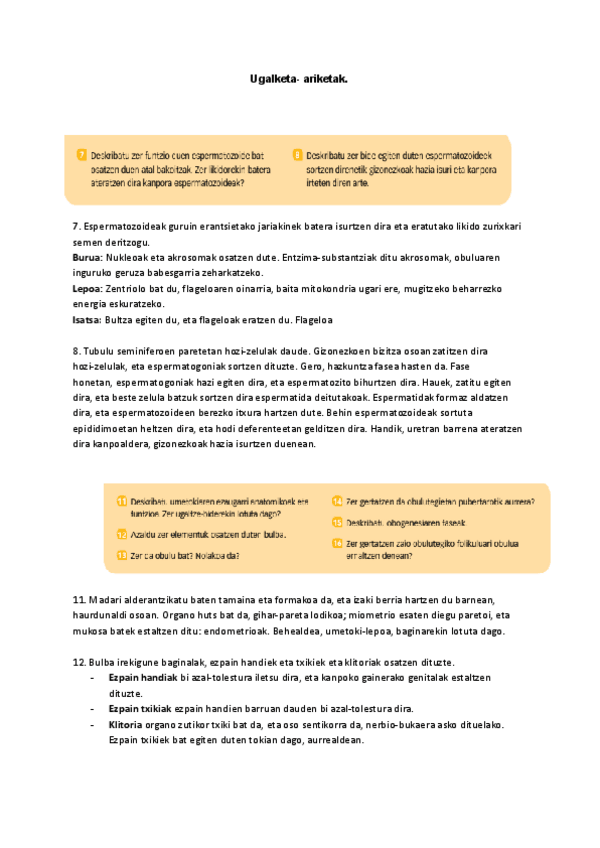 Miniatura del documento Ugalketa-ariketak.pdf