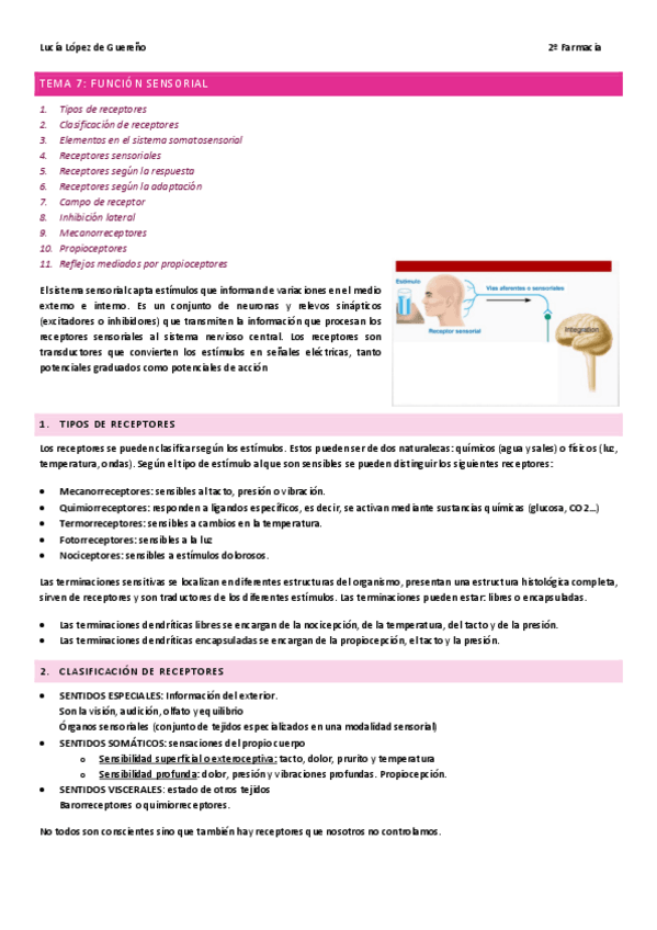 Miniatura del documento TEMA-7-Funcion-sensorial.pdf