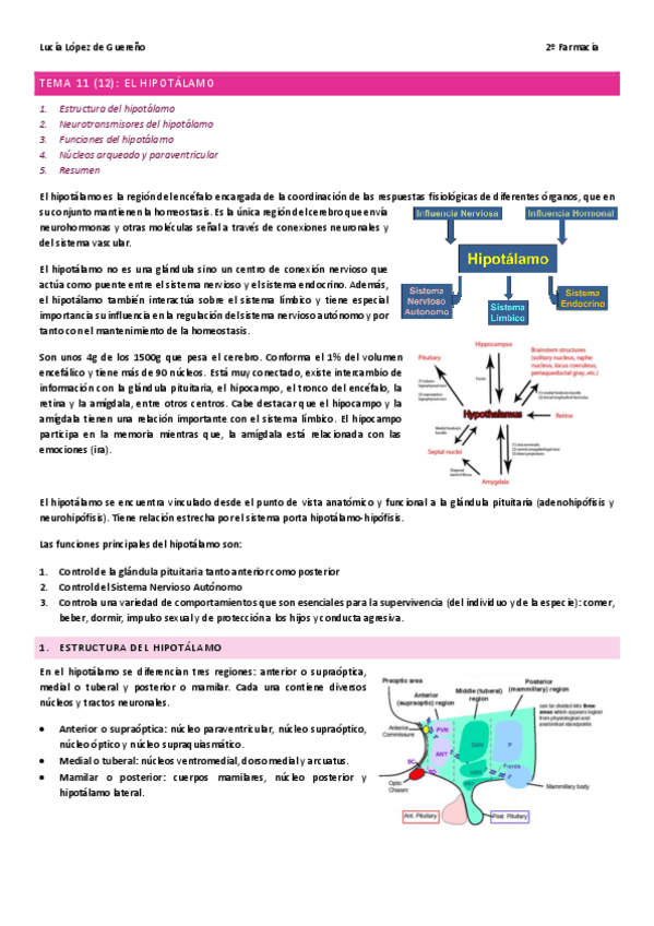 Miniatura del documento TEMA-11-El-hipotalamo.pdf