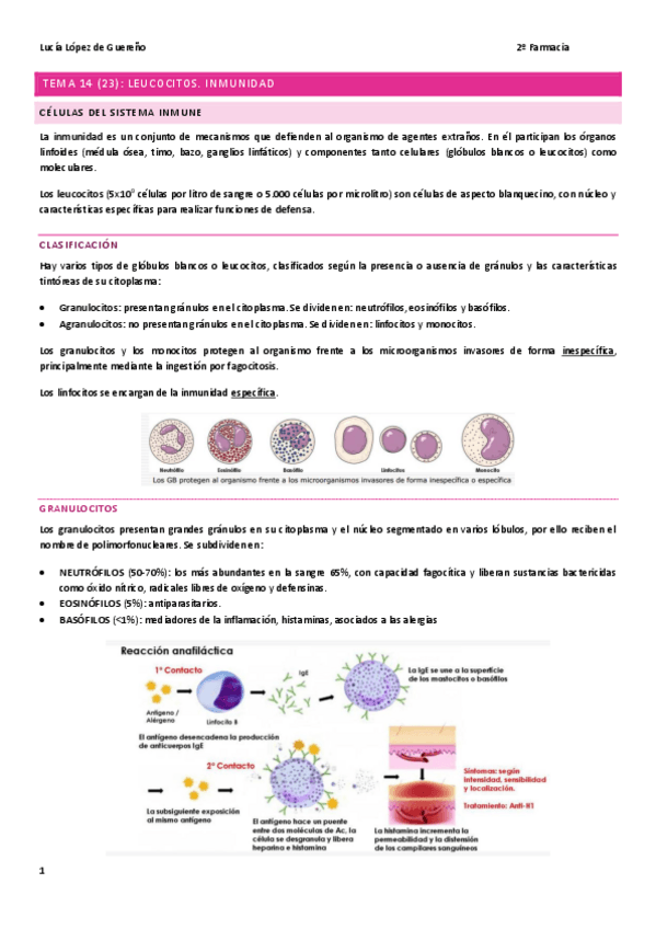 Miniatura del documento TEMA-14-Leucocitos-Inmunidad.pdf