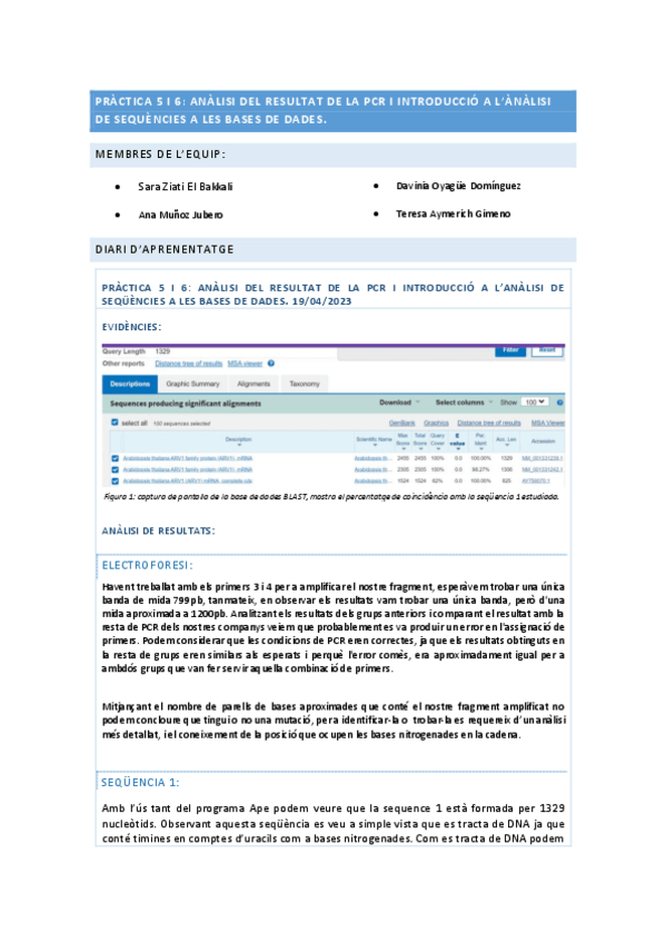 Miniatura del documento Ziati-Munoz-Aymerich-Oyague-P5-I-6.pdf
