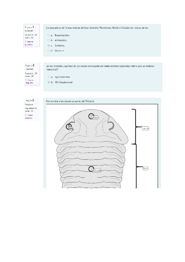 Miniatura del documento Paleo-cuestionario-pract.pdf