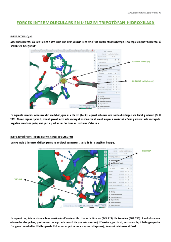 Miniatura del documento AVALUACIO-CONTINUADA-1.pdf