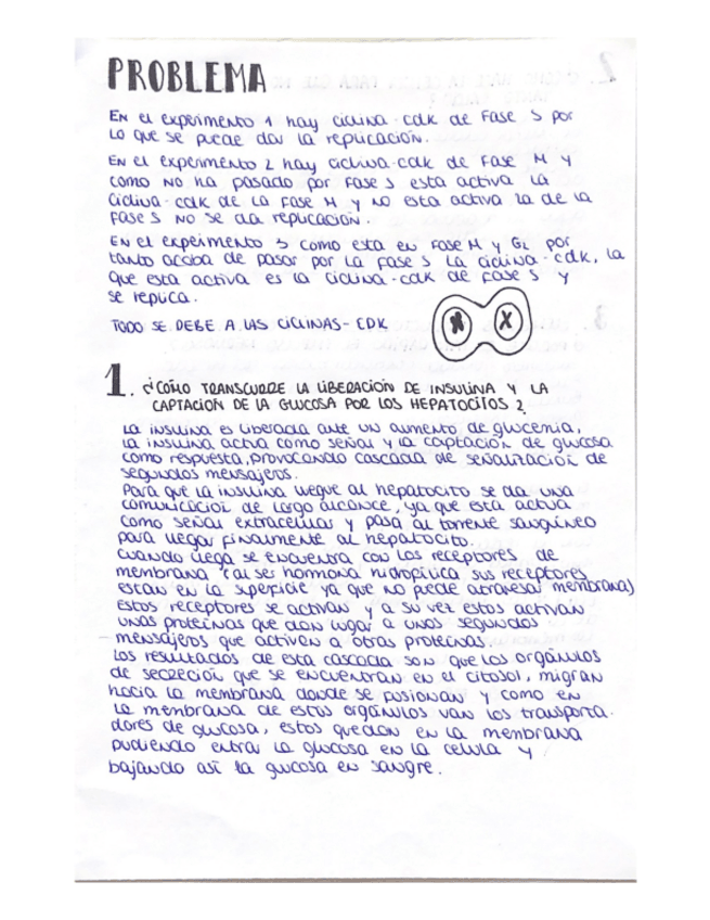 Miniatura del documento Examen EB 2023 (enero y junio).pdf