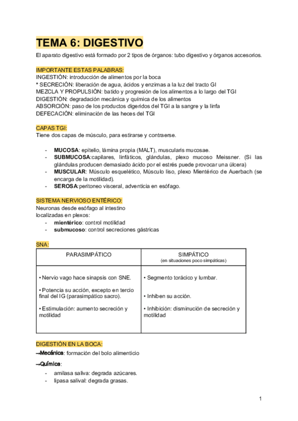 Miniatura del documento Tema-6-Digestivo-AMQ-ANDREACARLACLAUDIA.pdf