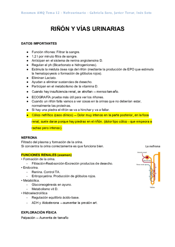 Miniatura del documento Tema-12-AMQ.-Nefrologia.pdf