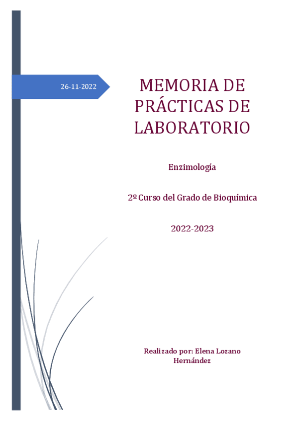 Miniatura del documento Memoria de prácticas.pdf