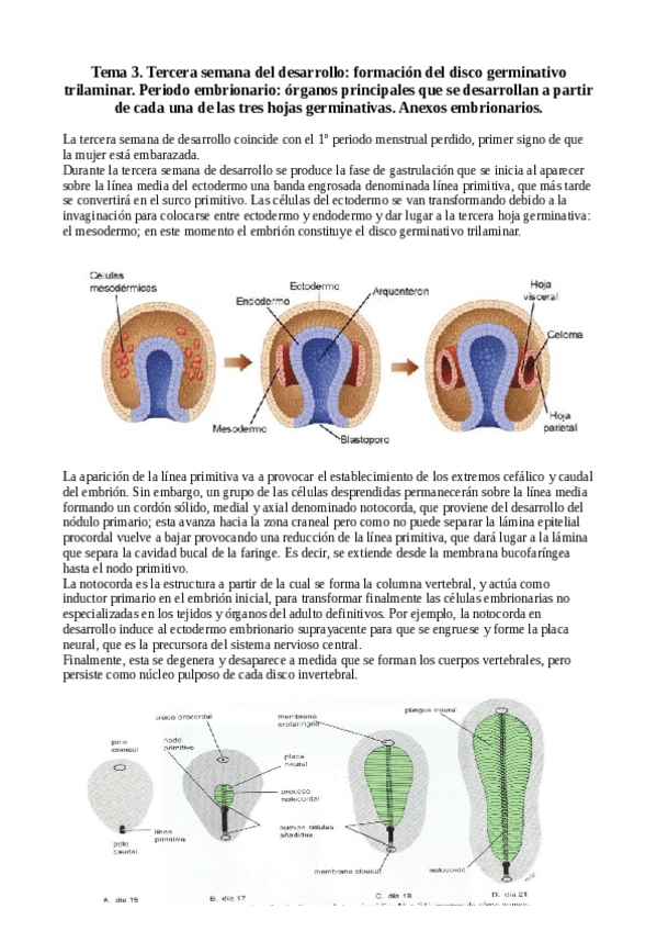 Miniatura del documento tema 3.pdf