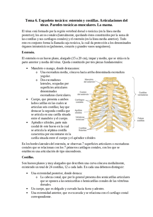 Miniatura del documento Tema 6.pdf