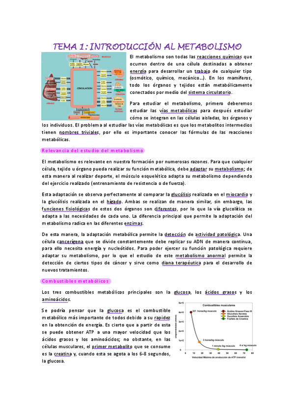 Miniatura del documento Tema-1.pdf