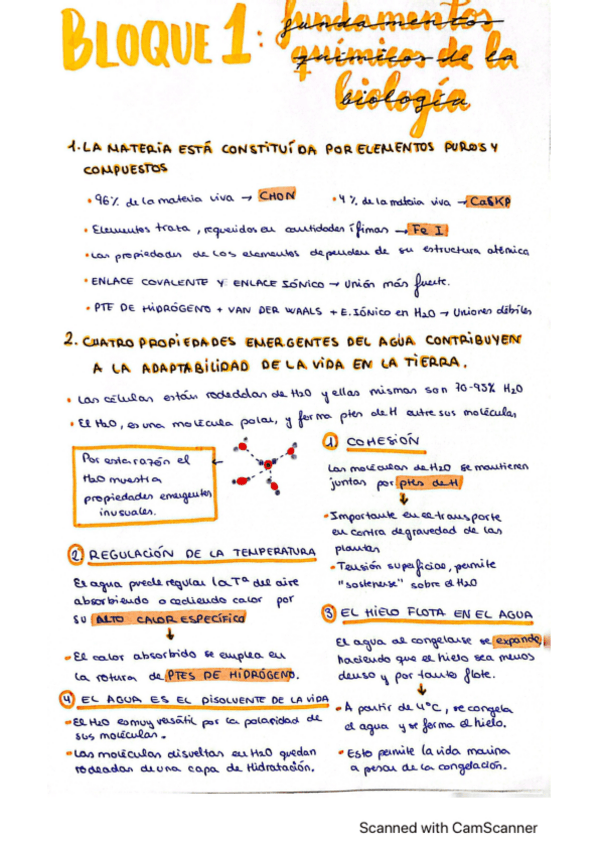 Miniatura del documento Resumen-biologia.pdf