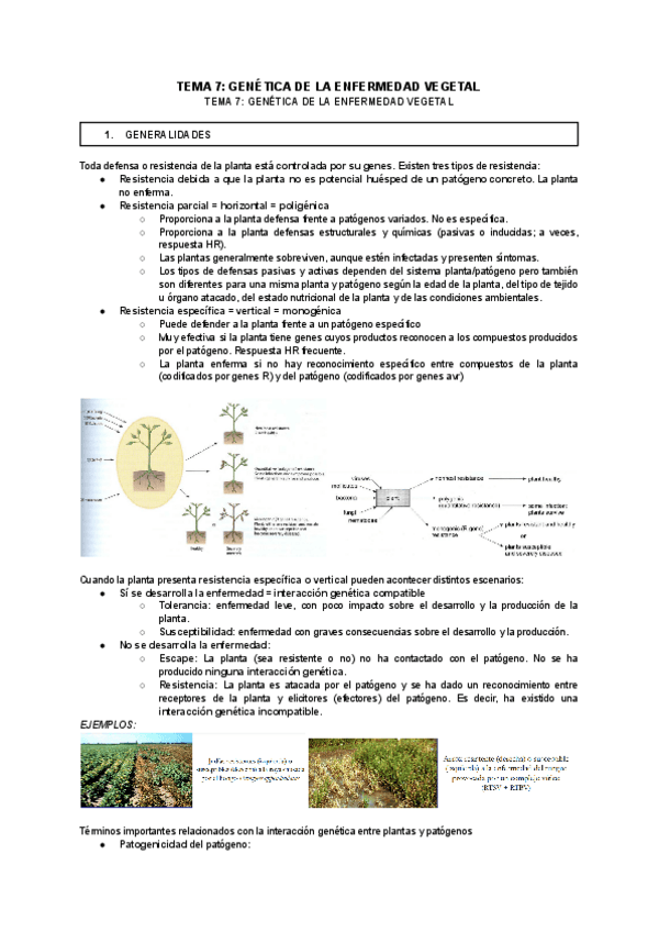 Miniatura del documento TEMA-7-GENETICA-DE-LA-ENFERMEDAD-VEGETAL.pdf