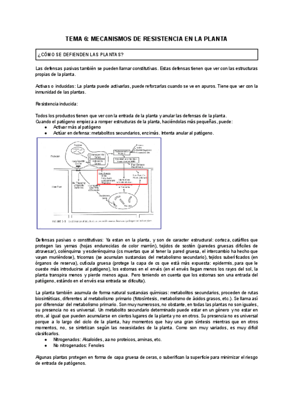 Miniatura del documento TEMA-6-MECANISMOS-DE-RESISTENCIA-DE-LA-PLANTA.pdf