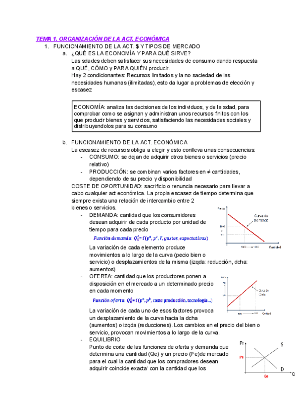 Miniatura del documento TEMA-1-organizacion-de-la-act.-economica.pdf