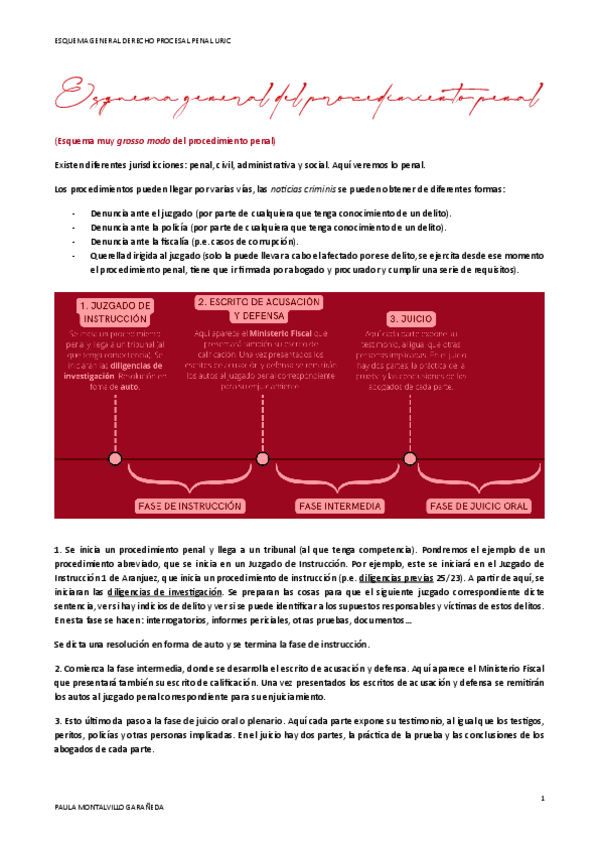 Miniatura del documento Esquema-general-del-proceso-penal.pdf