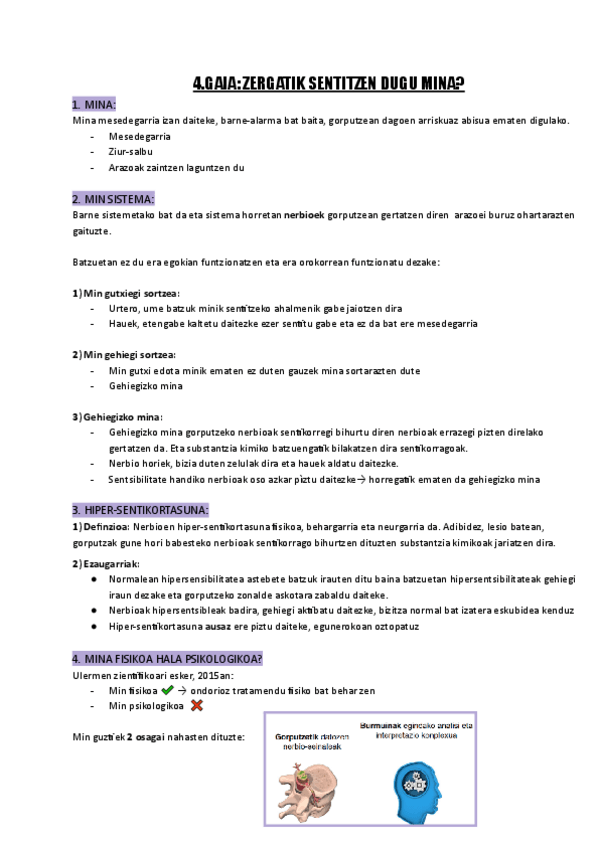 Miniatura del documento 4.GAIA-Mina-Documentos-de-Google.pdf