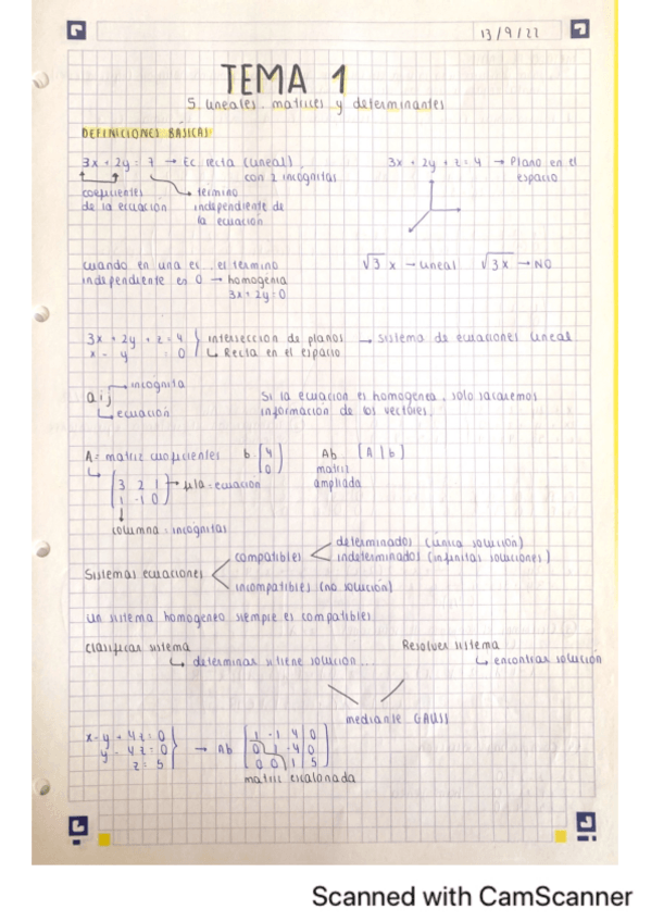 Miniatura del documento T1-S.lineales-matrices-y-determinante.pdf