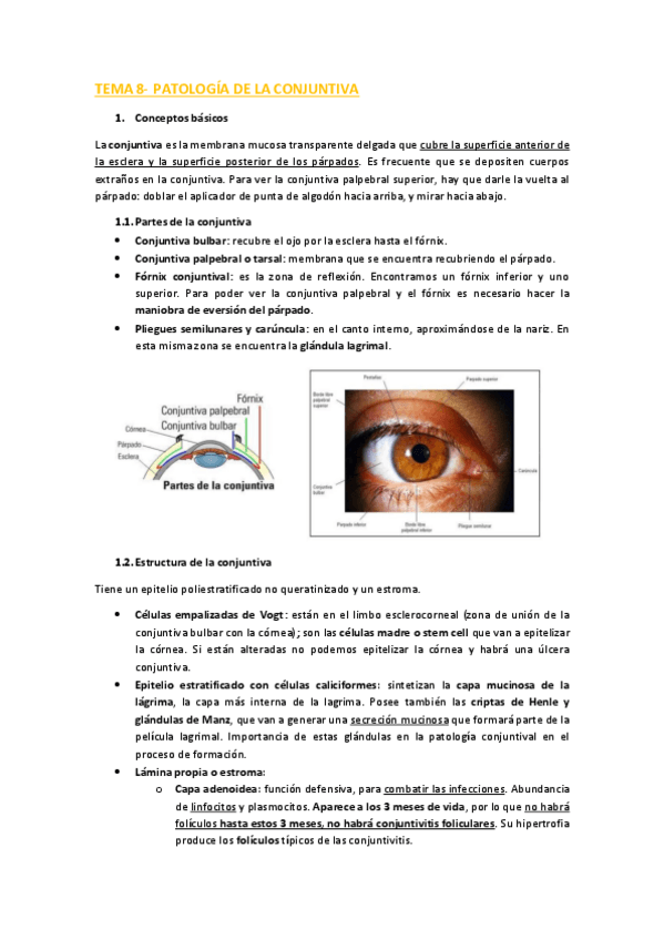 Miniatura del documento TEMA-8.pdf